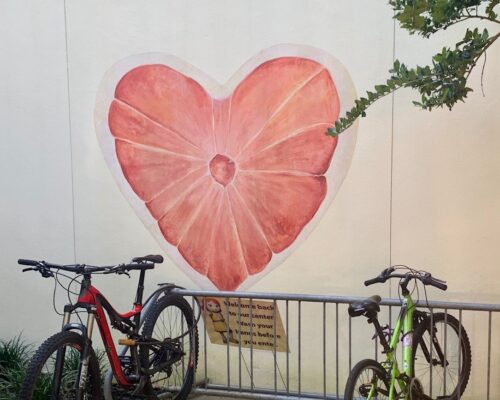 parked bicycles